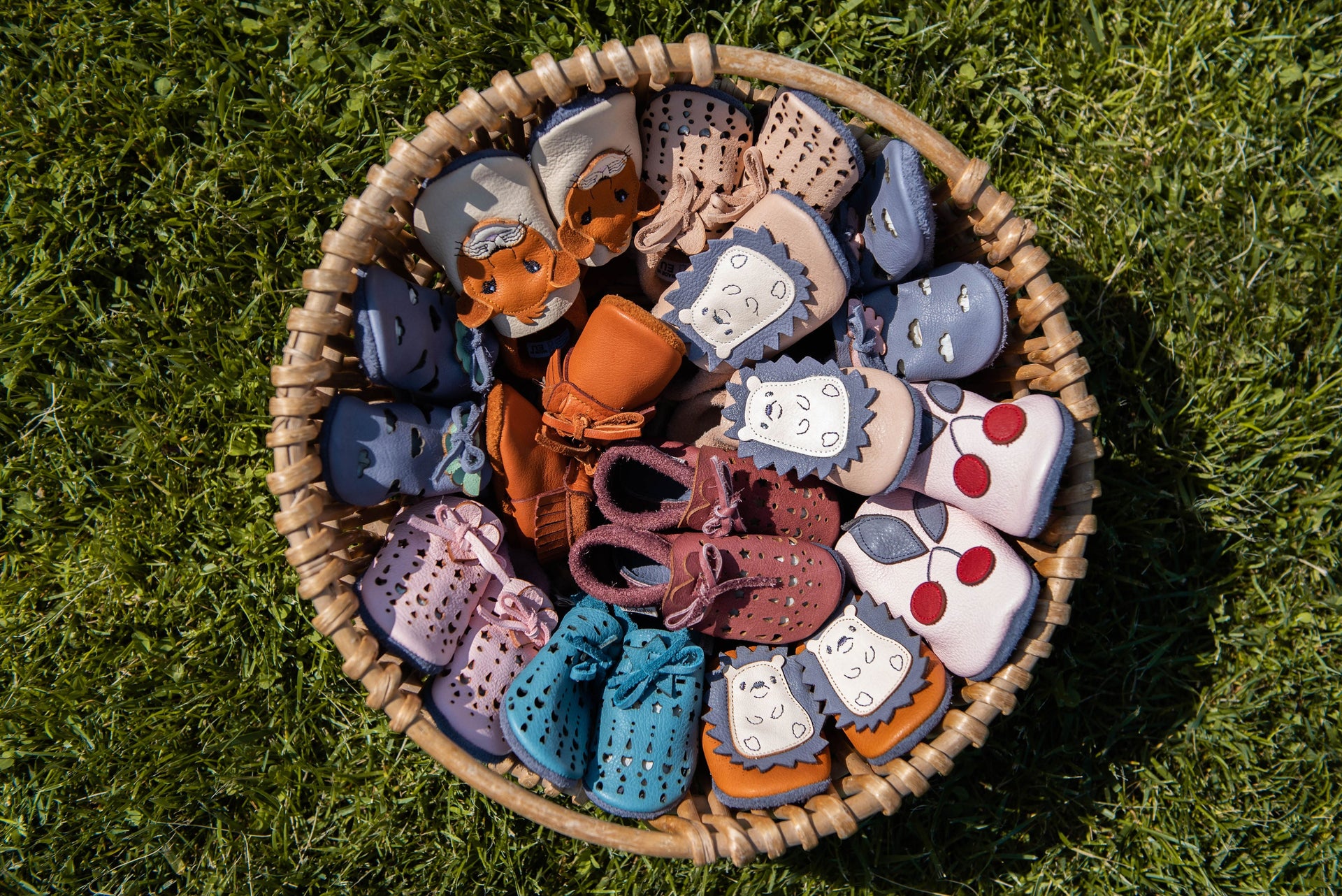 Baobaby Collection-Parent Studio