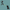 Testing Alt