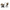 Stokke® YOYO³ Stroller - Newborn Shell to Toddler Bundle-Bundle-Parent Studio