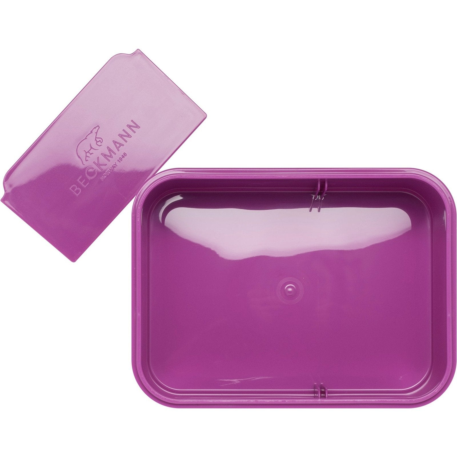 Lunch box, Purple