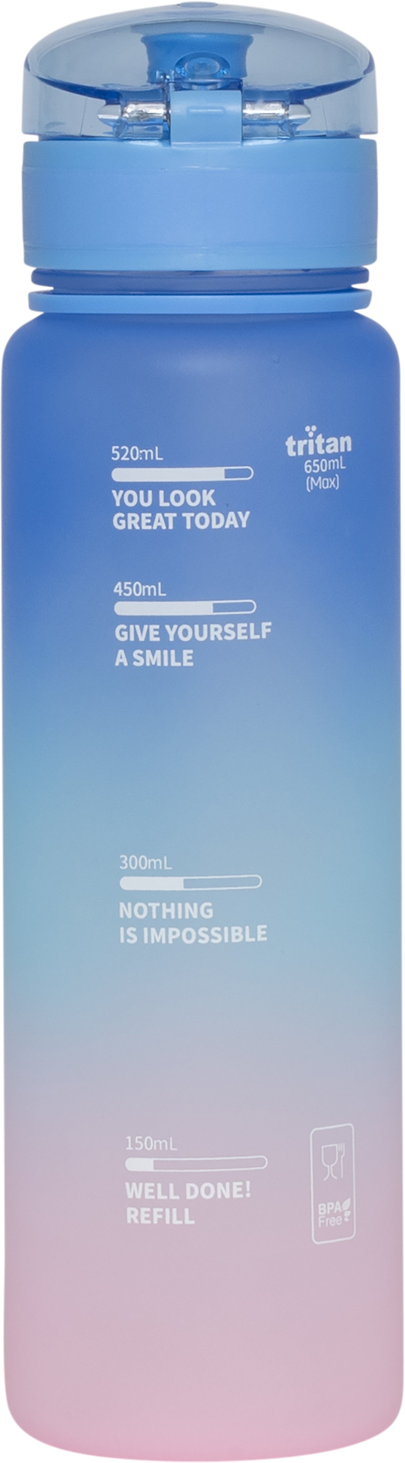 Drinking bottle 650 ml Pink Gradient