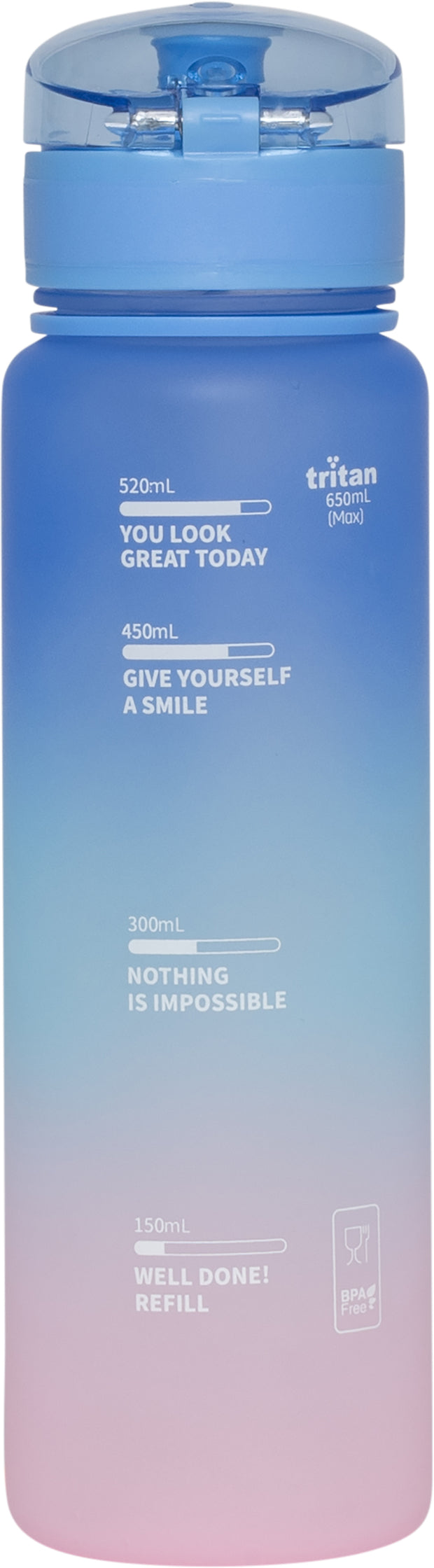 Drinking bottle 650 ml Pink Gradient