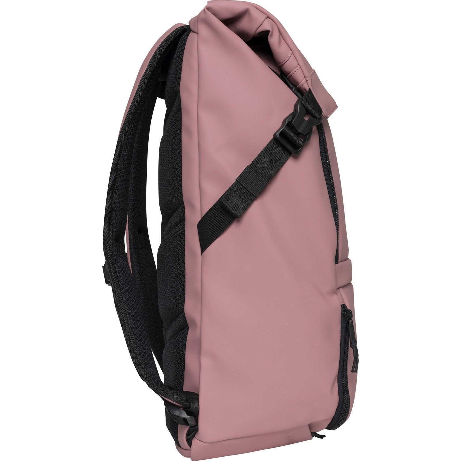 Street Light, Ash Rose