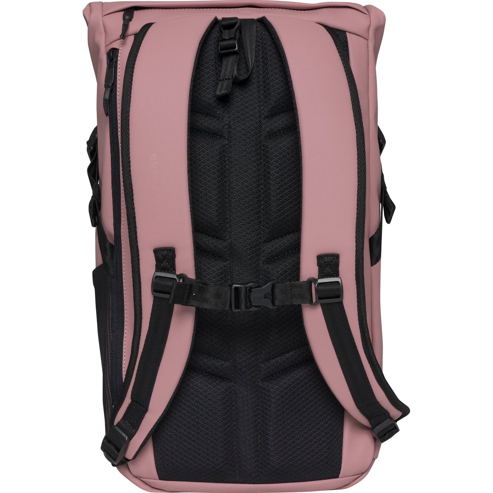 Street Light, Ash Rose