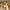 Medium Standing Giraffe Stuffed Animal 135cm