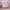 Obaby Evie Mini Cot Bed