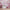 Obaby Evie Mini Cot Bed