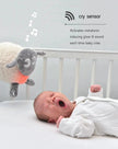 Ewan The Dream Sheep, Deluxe
