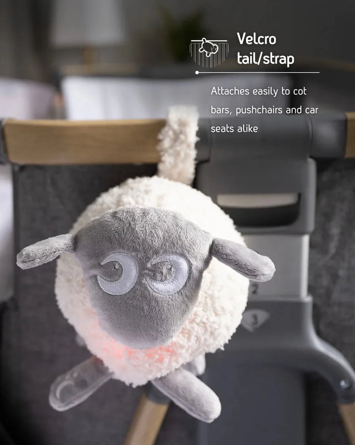 Ewan The Dream Sheep, Deluxe