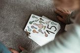 Flash Cards Numbers