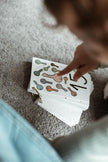 Flash Cards Numbers
