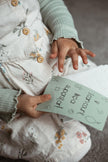 Flash Cards Numbers