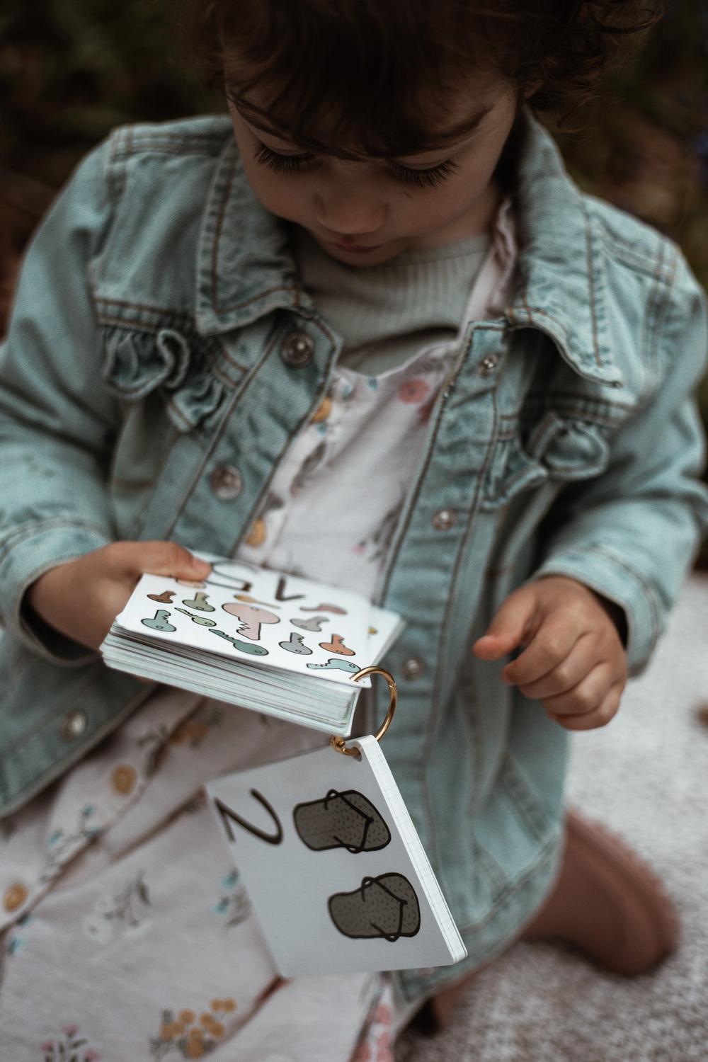 Flash Cards Numbers