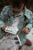 Flash Cards Numbers