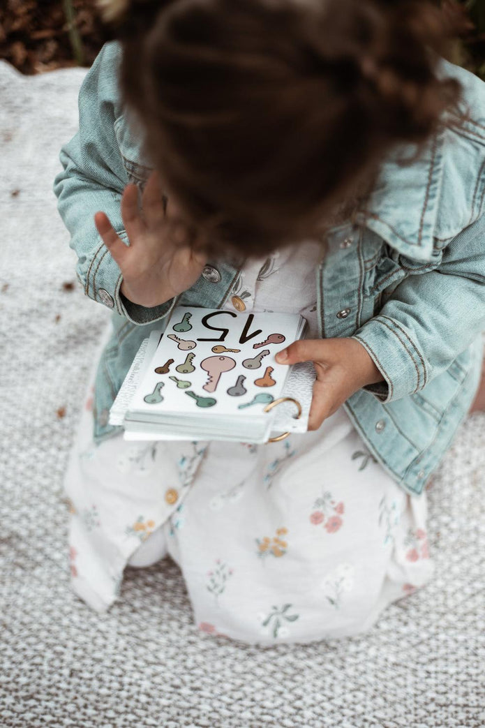 Flash Cards Numbers