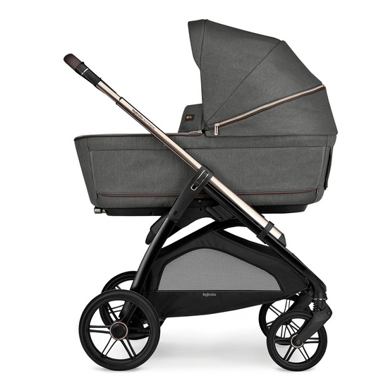 Inglesina Aptica Duo Travel System