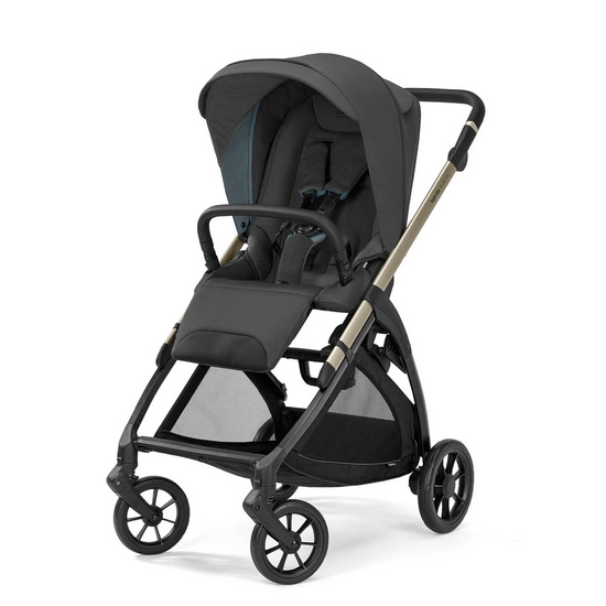 Inglesina Electa Duo Travel System