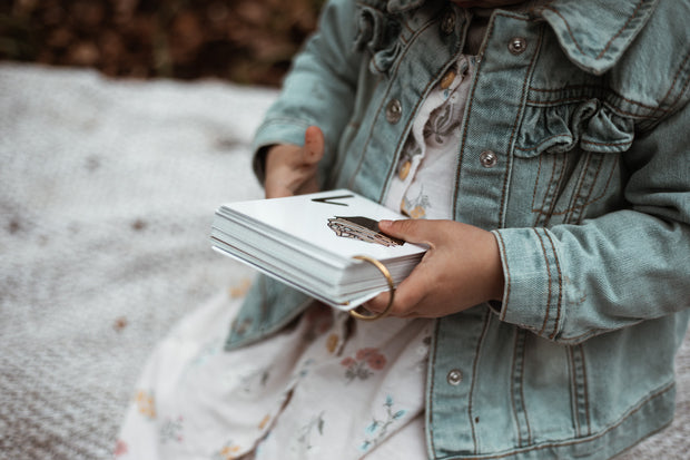 Flash Cards Numbers