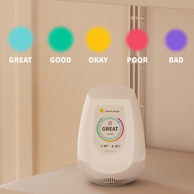 Nooku Multi - Air Quality Monitor