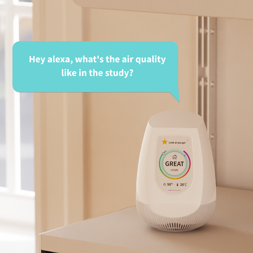 Nooku Multi - Air Quality Monitor