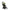 Stokke® YOYO³ stroller with newborn to toddler Black/Olive