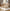Tripp Trapp® High Chair  Bundle + Tripp Trapp® Newborn Set Beech Wood