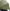 Stokke® YOYO³ stroller with newborn to toddler Black/Olive