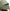 Stokke® YOYO³ stroller with newborn to toddler Black/Olive