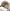 Stokke® YOYO® 0+ newborn pack