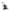 Stokke® YOYO® 0+ newborn pack