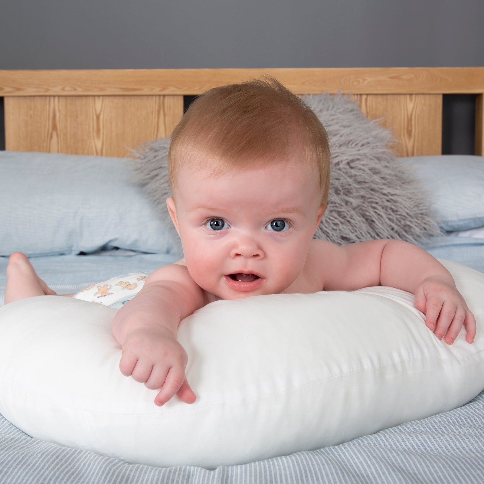 Mother & Baby Organic Cotton Support Pillow and Wedge Set-Nursing Pillow-Parent Studio