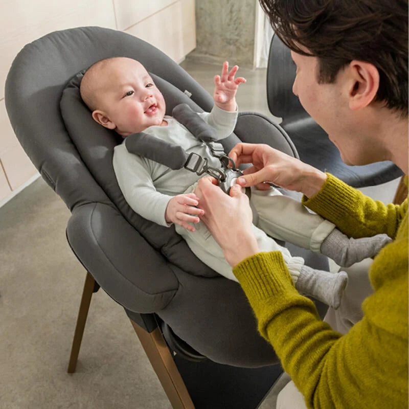Stokke bouncer high chair sales