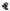 Stokke® Xplory® X Winter Kit